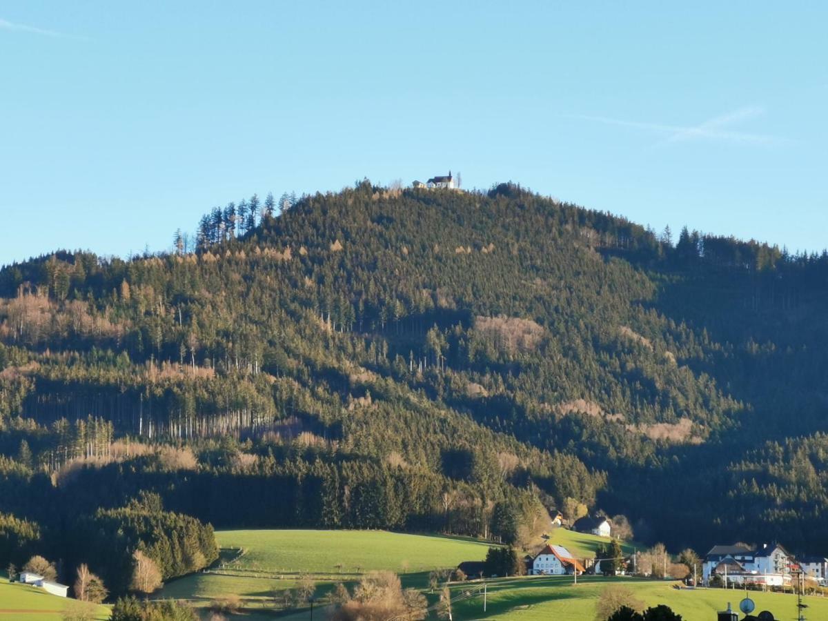 Modernes Appartement Schwarzwald Naehe Freiburg Винден-им-Эльцталь Экстерьер фото