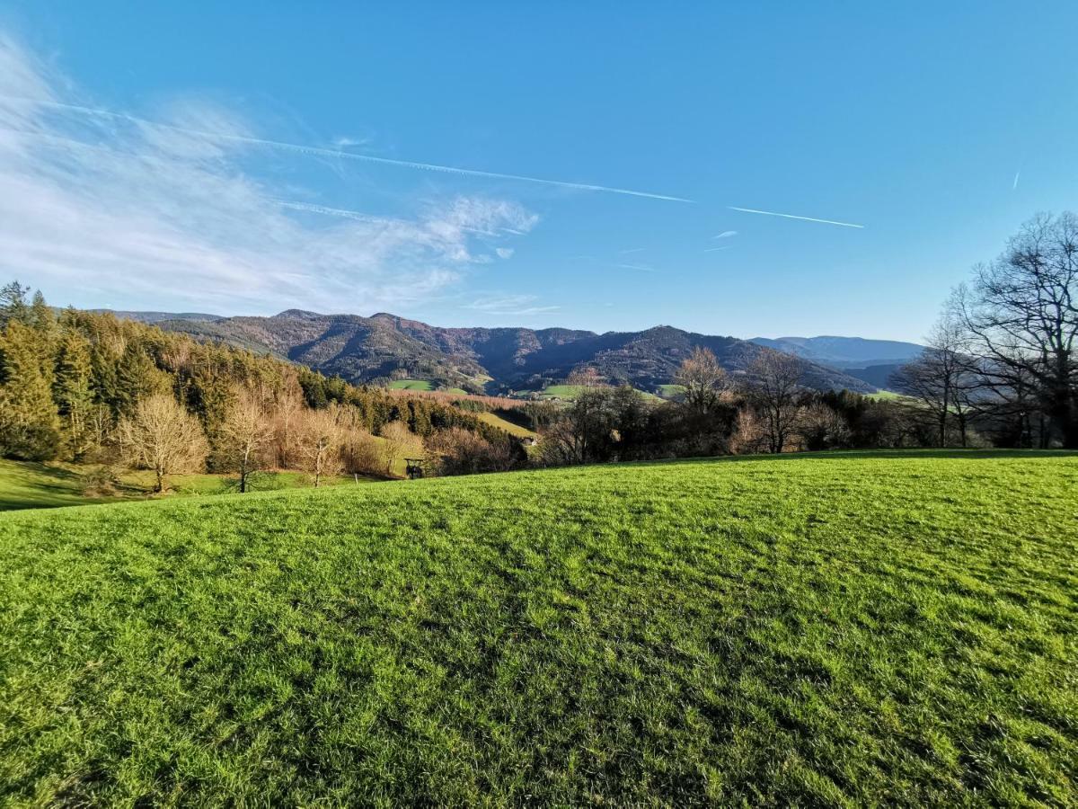 Modernes Appartement Schwarzwald Naehe Freiburg Винден-им-Эльцталь Экстерьер фото