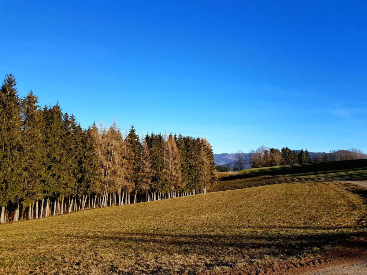 Modernes Appartement Schwarzwald Naehe Freiburg Винден-им-Эльцталь Экстерьер фото