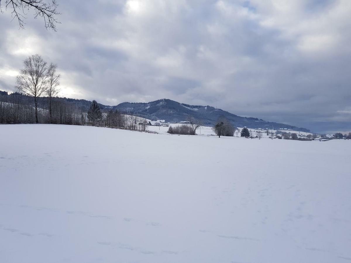 Modernes Appartement Schwarzwald Naehe Freiburg Винден-им-Эльцталь Экстерьер фото