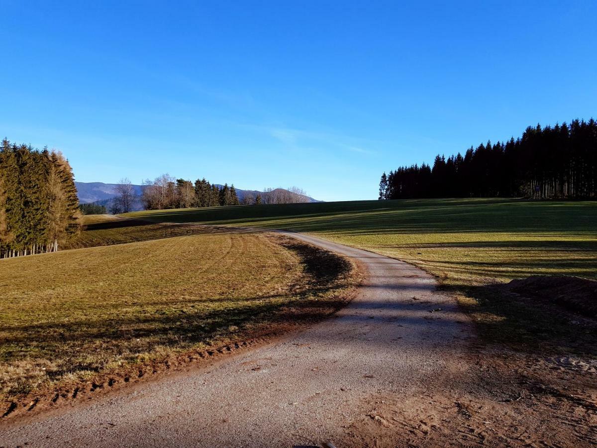 Modernes Appartement Schwarzwald Naehe Freiburg Винден-им-Эльцталь Экстерьер фото