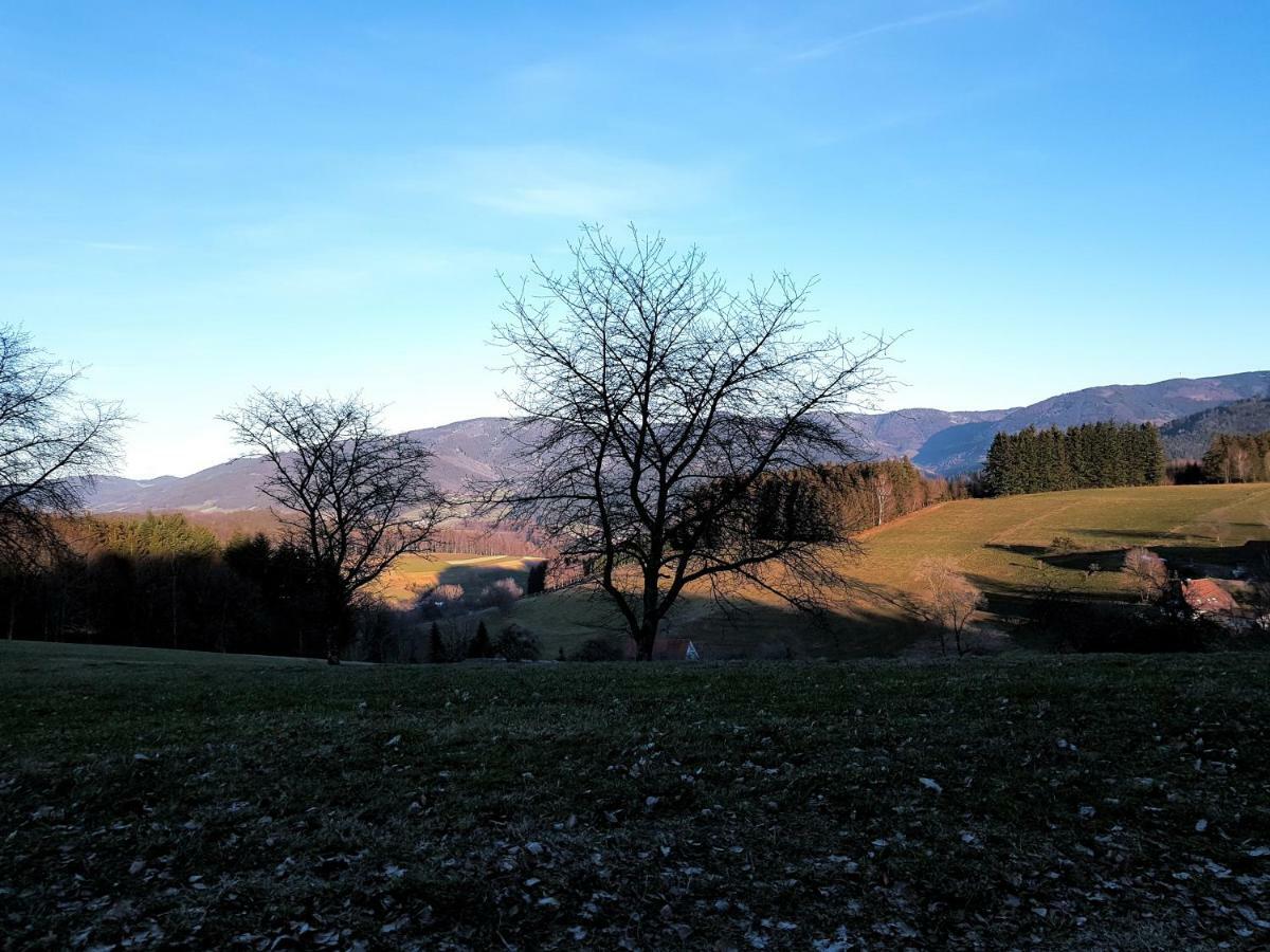 Modernes Appartement Schwarzwald Naehe Freiburg Винден-им-Эльцталь Экстерьер фото